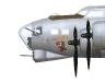 Umbriago - nose art