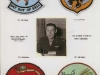 Squadron insignia