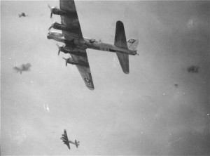 'American Beauty' in flak